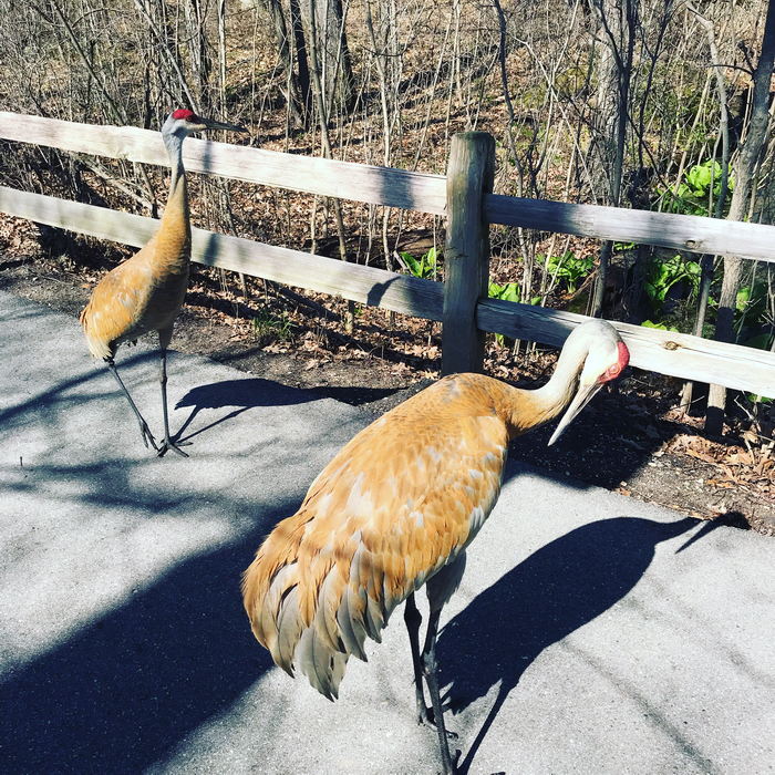 Kensington Metropark - 2019 Photo (newer photo)